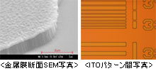 ʐ^FTCGXeNm/p^[jOC